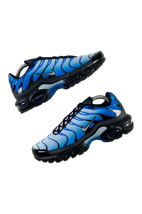 Nike 2023 "Blue Gradient" Air Max Plus TN [UK8]